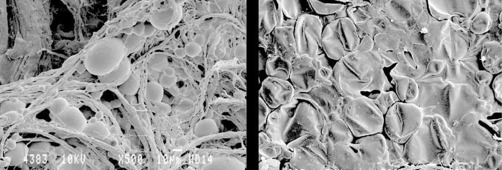 Imagen electrónica tomada con microscopía electrónica de microcápsulas de cubierta de gelatina incorporadas a una piel, antes (izquierda) y después (derecha) del proceso de fabricación del zapato.
